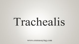 How To Say Trachealis [upl. by Arria13]