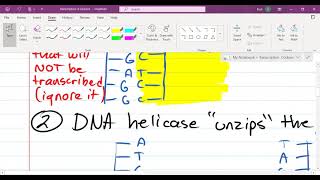 AP Biology Unit 6  Lesson 58 Intro to Operons The trp Operon [upl. by Akemhs]