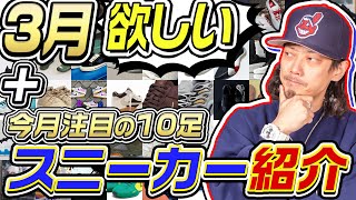 【スニーカー】3月に欲しいと思っているスニーカー今月注目の10足を紹介！！2024年3月【ナイキアディダスコンバースニューバランス】 [upl. by Lion]