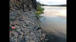 Fish on Yakima River salmon fishing day 2 916 12lbs 13oz [upl. by Adnavoj]