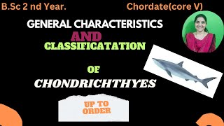 Chondrichthyes classification up to order bsc 2nd yearchondrichthyeschordatesbsc2ndyearzoology [upl. by Rennoc]