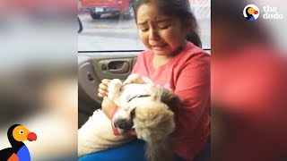 Girl Cries Over Dogs New Haircut  The Dodo [upl. by Elda567]