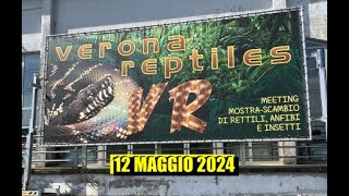 Ti portiamo in FIERA  VERONA REPTILES  12 Maggio 2024 [upl. by Hendrix]