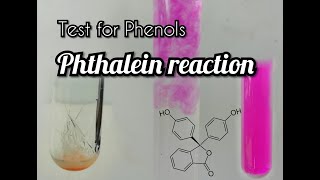 Reactions of phenols halogenation hydrogenation reaction with aldehyde  ch11  12th class chem [upl. by Allak]