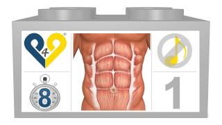 Abdominais em 8 minutos  sem música [upl. by Lindo309]