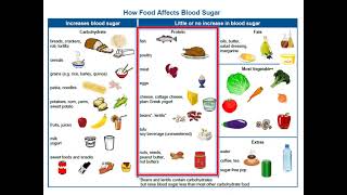 Adult Type 2 Diabetes  4 Nutrition Basics [upl. by Aivad]