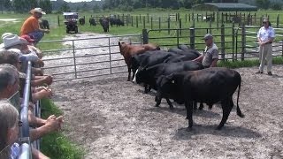 Sustainable Ranching Day 1 Part 1 [upl. by Bridgette]