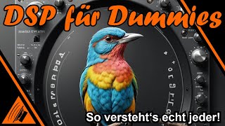 DSP für Dummies  So verstehts echt jeder [upl. by Aklog]