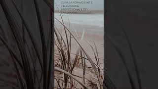 🌍🔧 Articolo 35 della Costituzione Italiana Tutela e Diritti del Lavoro 🔧🌍 costituzione [upl. by Leva]