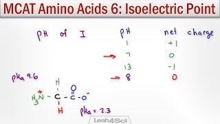 Isoelectric Point of Amino Acids with MCAT Shortcut [upl. by Nadab]