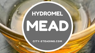 How to Make Mead  Hydromel Mead [upl. by Polish446]