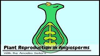 Plant Reproduction in Angiosperms [upl. by Lombardi946]