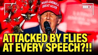 Trump SWARMED BY FLIES at Speeches…WTF is Happening [upl. by Erich]