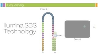 Intro to Sequencing by Synthesis Industryleading Data Quality [upl. by Franzen179]