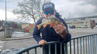 Zap Pêche du mois de Mars  A la Pêche en Street Fishing [upl. by Hako721]