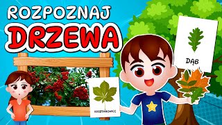 🌳 Kazio i DRZEWA film edukacyjny dla dzieci  Rozpoznawanie drzew  Zagadki 🌳 [upl. by Esina390]