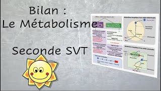 Le Métabolisme des cellules  Fiche Bilan Seconde SVT [upl. by Nyrek]