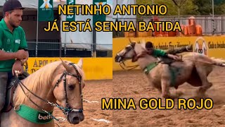 NETINHO ANTÔNIO MARCOS SENHA BATIDA CORRIDA PQ PALMERY SORIANO [upl. by Nixon]