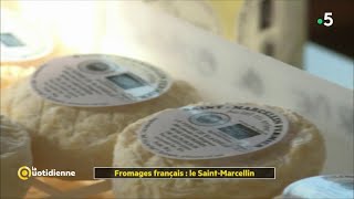 Fromages français  le SaintMarcellin [upl. by Aillimac]