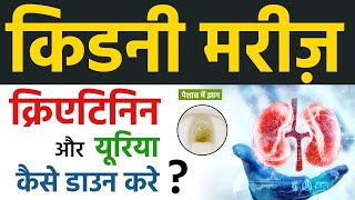 किडनी मरीज़ क्रिएटिनिन और यूरिया ऐसे डाउन करें  Lower Creatinine and Urea [upl. by Einalam716]