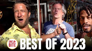 Best of Barstool Pizza Reviews 2023 [upl. by Garzon]