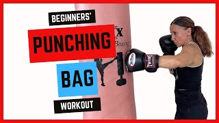 Punching Bag Workout for Beginners [upl. by Ecidnarb]