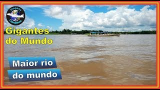 Amazonas  Maior rio do mundo [upl. by Eihcra]