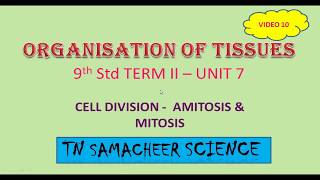 9th TN Samacheer Science  Cell Division  Amitosis amp Mitosis [upl. by Comras]