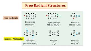 Free Radical Scavengers  Free Radicals [upl. by Peltier]