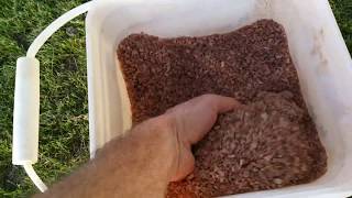 Natural low cost mineral salt to fertilize plants trees and control weeds [upl. by Fishback410]