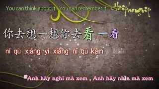 Ánh trăng nói hộ lòng em  月亮代表我的心 VietSubkara Pinyin [upl. by Hpeosj]