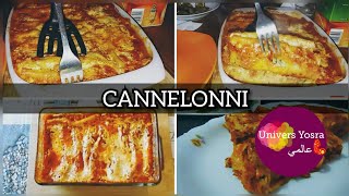 ❤❤❤ CANNELLONI LÉGER ET MOELLEUX SANS SAUCE BÉCHAMEL❤❤❤ [upl. by Hembree]