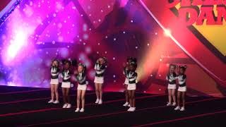 CEA Raleigh Tiny Turtles at Battle at the Beach 2019 Day 1 [upl. by Premer766]