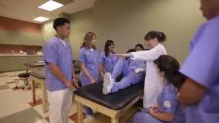 Learn About Our Physical Therapist Assistant Program  Concorde Career College [upl. by Carlyle524]