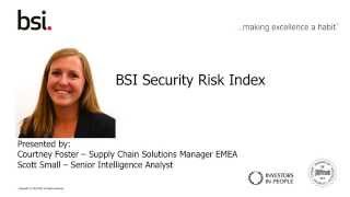 BSI Security Risk Index [upl. by Aelegna64]