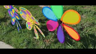 Pinwheels spinning 2 [upl. by Donoghue]