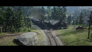 Train runs over a horse 1899 Colorized Footage [upl. by Eissert]