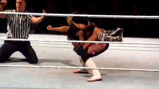 WWE Natalya vs AJ Lee in Toronto [upl. by Ecerehs]