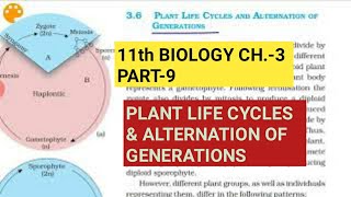 ALTERNATION OF GENERATION  TAMIL EXPLANATION [upl. by Thant593]