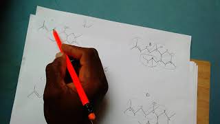 How to identify a Terpene and its isoprene units [upl. by Limber]