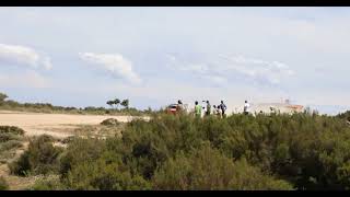 WRC Rally Sardegna 2024  Yohan Rossel  flatout [upl. by Thacker]