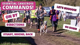 What things can you teach your dog for Canicross [upl. by Nesnar570]