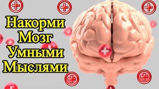 28 мудрых мыслей для мотивации на успех – Красивые и умные мысли о жизни и как стать счастливым [upl. by Crista]