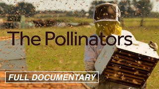 The Pollinators FULL MOVIE Bees Food Supply Environment  AwardWinning Documentary [upl. by Aniluj]