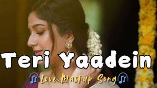 Teri Yaadein 🎧 song in  SLOWED amp REVERB  hindi song  Love Mashup song 2024 new [upl. by Ttoile31]