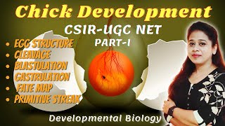 Chick Development Part1 Egg Structure  Cleavage  Blastulation  Gastrulation  Primitive Streak [upl. by Aleil]