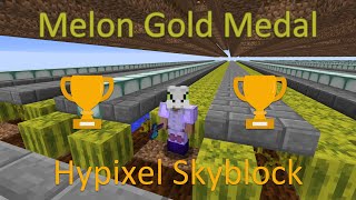 gold medal melon farming hypixel skyblock [upl. by Rhines]