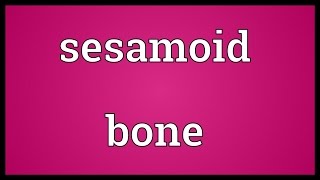 Sesamoid bone Meaning [upl. by Proudman]