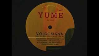 Voigtmann  Fingerpointing Track [upl. by Onirefez]