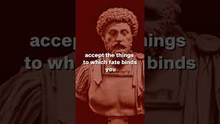 Stoicism  Marcus Aurelius Life Changing Lessons [upl. by Field]